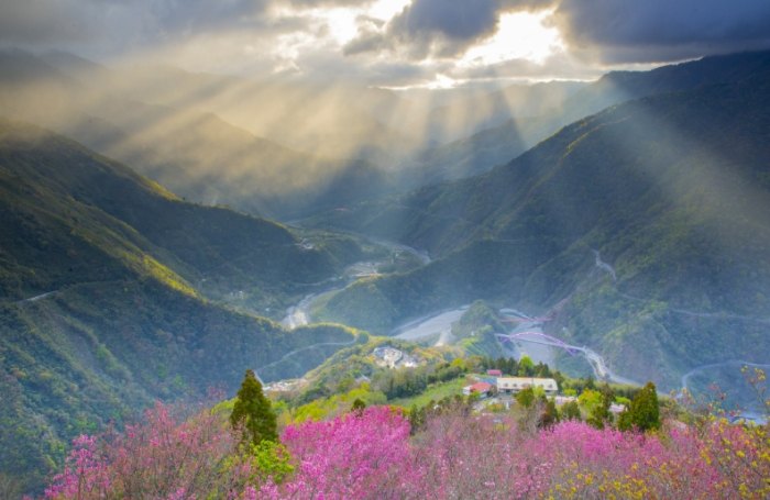 桃園風景區：低調寶藏旅遊全攻略，交通景點行程住宿一次掌握