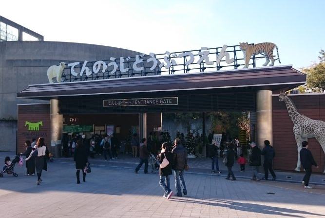 大阪動物園：關西經典動物園之旅與終極推薦指南