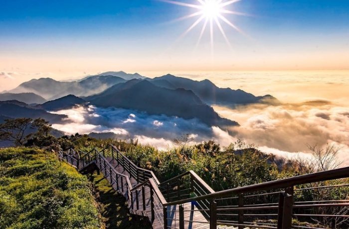 隙頂二延平步道：茶園雲海奇幻旅程全攻略