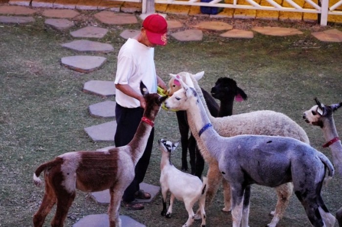 晴園秘境：開放時間、交通攻略、必遊景點與周邊資訊一次看