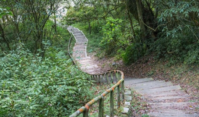 特富野古道一日遊：一日攻略‧路線懶人包‧住宿美食全解析