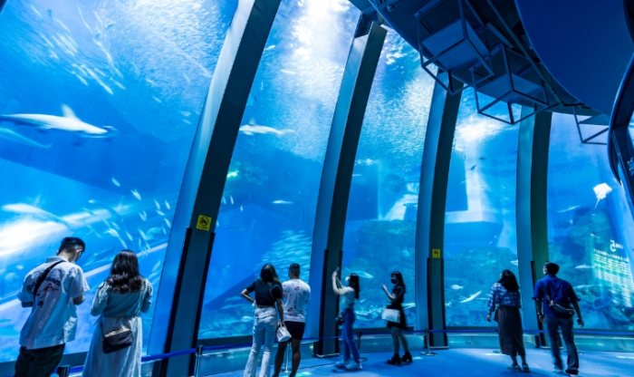 橫濱八景島海島樂園：海洋天堂攻略！營業時間、交通、門票一次搞定