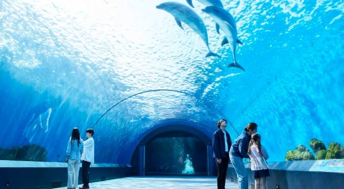 橫濱一日遊：經典景點路線規劃與住宿推薦