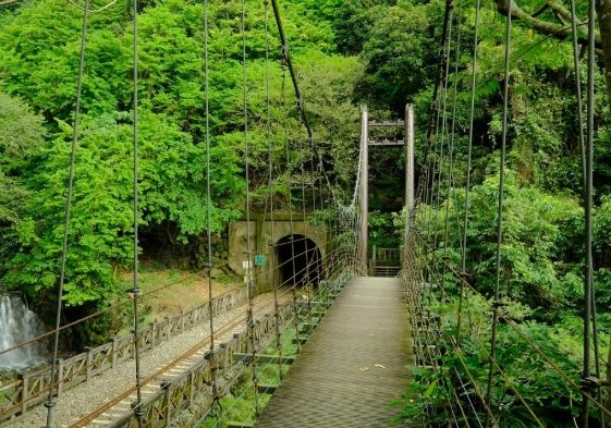 獨立山：阿里山腳下迴旋綠寶石步道交通景點美食全攻略