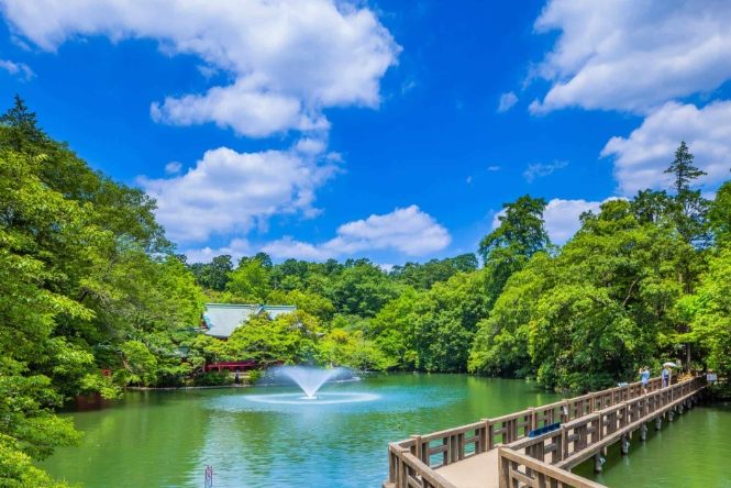 吉卜力美術館：搶票攻略、交通路線、展覽亮點及周邊美食全解析