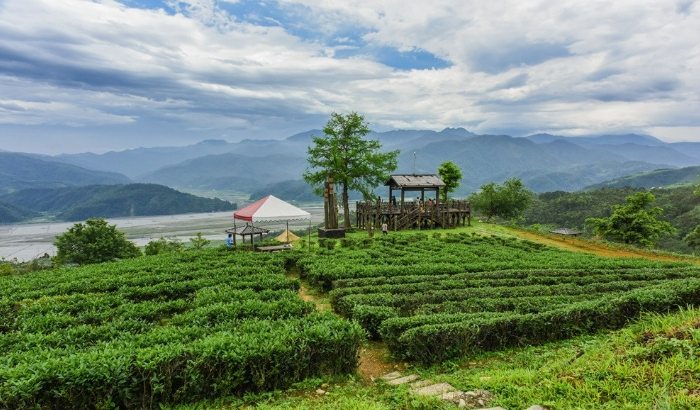 九寮溪步道：交通停車、步道路線、周邊景點完整攻略