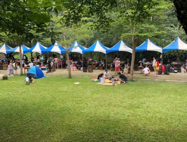 坪林天山親水農場：玩水之外的終極攻略與順遊景點推薦