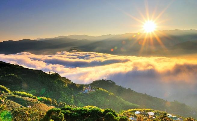 阿里山國家風景區：交通攻略、秘境景點與住宿精選全指南