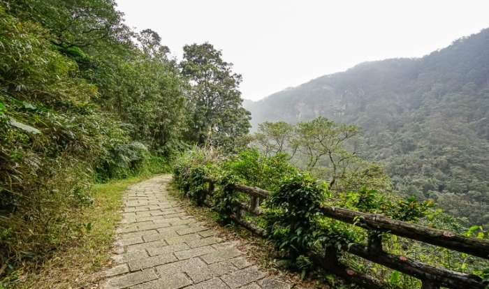 青山瀑布步道：沁涼水聲步道，北海岸順遊景點推薦