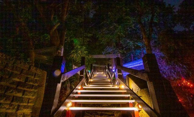 臺南秘境景點：漁光島月牙灣等12處隱藏景點與實戰Q&amp;A指南