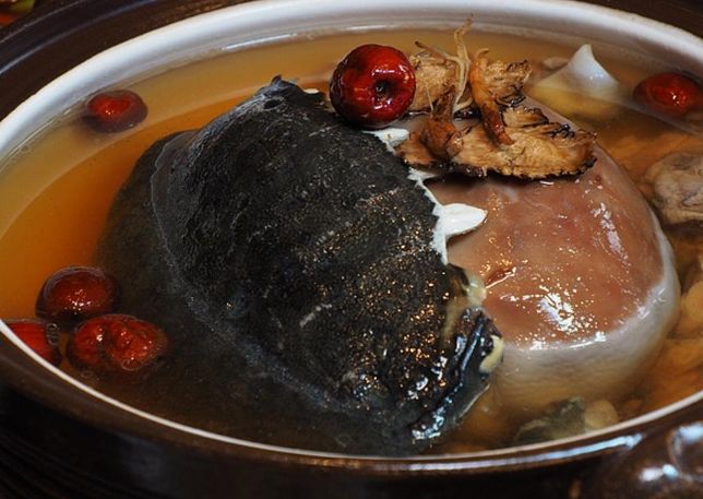 雞仔豬肚鱉：食材嚴選挑戰與經典食譜祕訣全解析