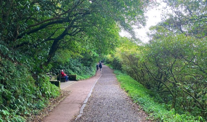 二子坪步道：平坦仙境懶人包，環狀散步陽明山一日遊