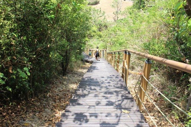 龜山登山步道：全方位登山指南，涵蓋交通停車、步道資訊、路線分析與安全注意事項