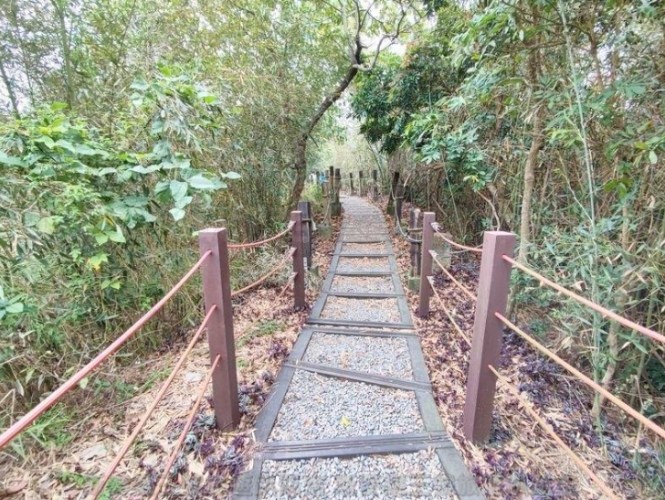 聚興山：完整旅遊攻略，含交通、步道、景點、美食與住宿