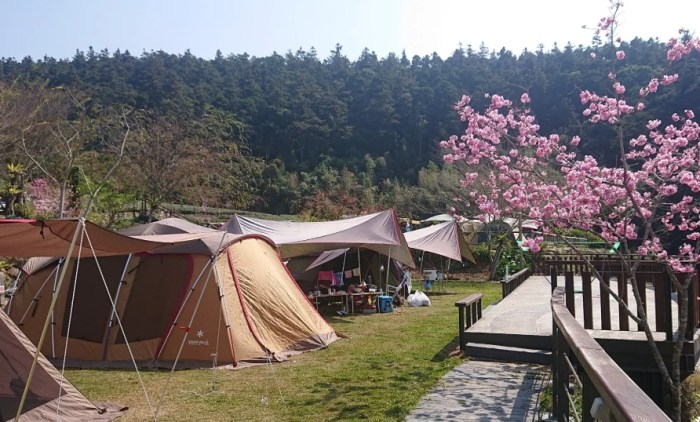 嘉義露營區：阿里山、曾文水庫、梅山、瑞裡熱門營地與常見問題解析