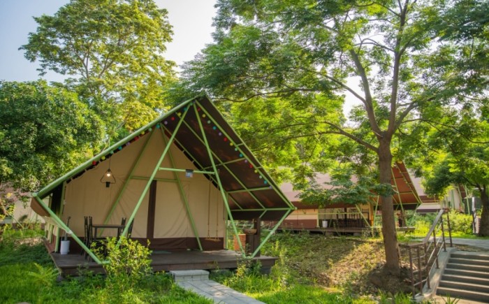 彰化露營區：豪華露營、親子農場與文化小鎮露營推薦指南