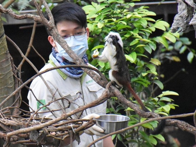 台北動物園：聰明遊園全攻略，省錢玩樂交通住宿一次搞定