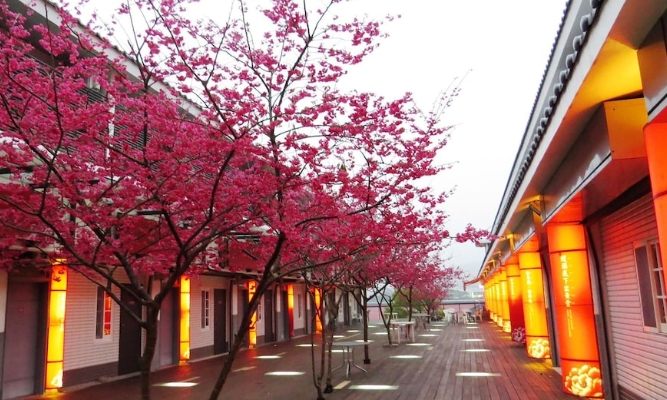 三義藝術村櫻花渡假會館：體驗藝術住宿、便利停車與山城周邊景點導覽