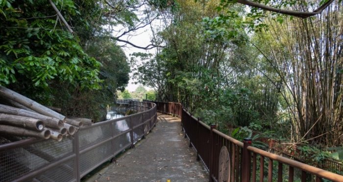 電火圳生態步道：交通停車、步道路線與景點資訊總覽