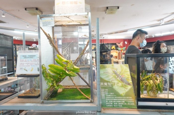 木生昆蟲博物館：生態方舟體驗、親民門票、埔里順遊攻略