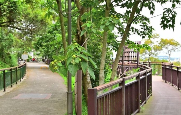 外埔水流東桐花步道：穿梭稻浪與桐雪詩意長廊，交通攻略、玩法路線與景點精華