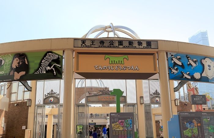 大阪市天王寺動物園：門票交通必看動物美食住宿全攻略