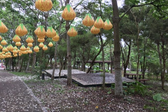 荷苞山：古坑旅遊全攻略 – 景點、美食、住宿資訊