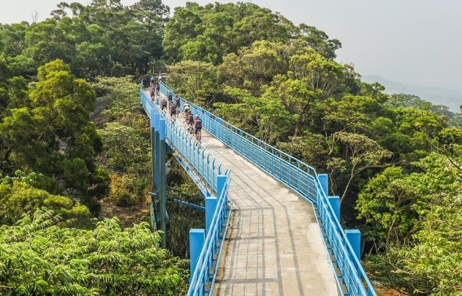 九華山天空步道：雲端漫步體驗與順遊攻略