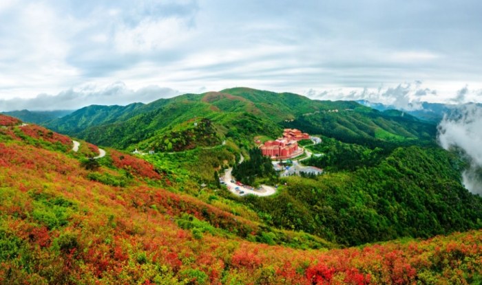 陽明山：旅遊全攻略 - 景點深度體驗、交通上山方式、美食住宿推薦