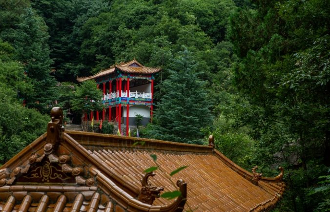 九龍山：完整旅遊指南與實用資訊