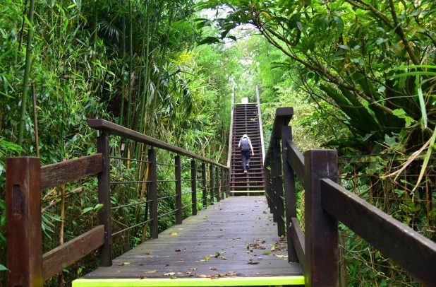 巃頂步道：墾丁步道探索全攻略：景點、交通與注意事項