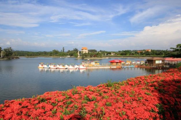 臺南山區景點：私房十選秘境之旅，玩過才懂絕美風光