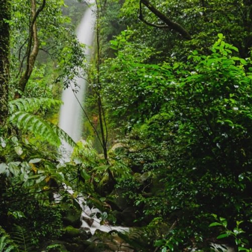 絹絲瀑布：陽明山周邊玩法、住宿推薦與旅遊安全指南