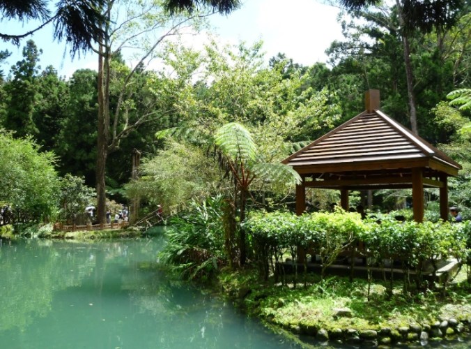 南投縣溪頭國家森林遊樂區：交通便捷指南、路線規劃秘訣與精華景點推薦