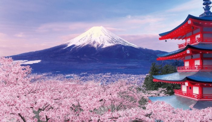 國外旅遊推薦：日本四季美景、交通省錢、十大必訪景點與美食住宿全攻略