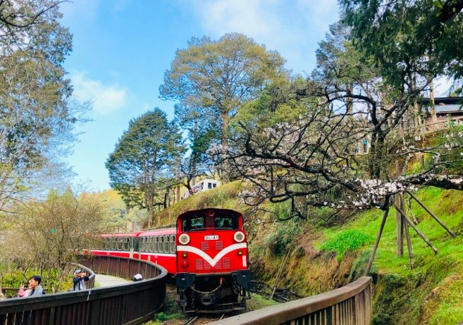 嘉義一日遊開車：經典路線與必訪景點懶人包