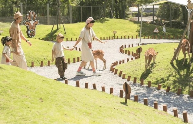 斑比山丘：門票輕鬆購、交通便利、景點美食住宿全攻略