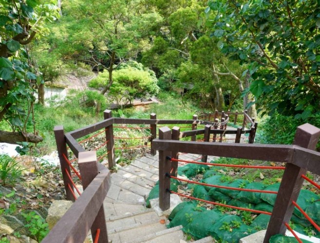 瑞井登山步道：完整攻略含交通、步道資訊與景點