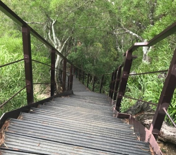 中央嶺步道：交通、步道資訊、路線與周邊景點全攻略懶人包