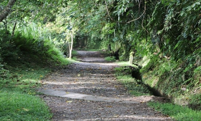 佐倉步道：花蓮登山路線資訊、難度分級與周邊景點指南