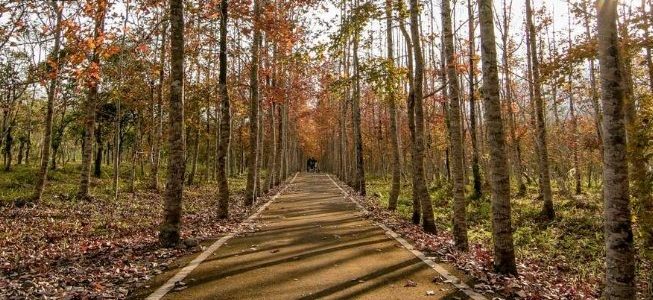 花蓮農場：生存守則、景點導覽與在地專家解惑