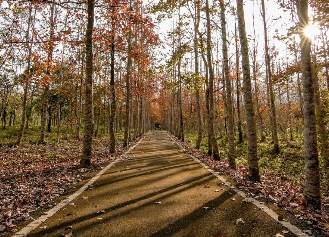 花蓮農場：生存守則、景點導覽與在地專家解惑