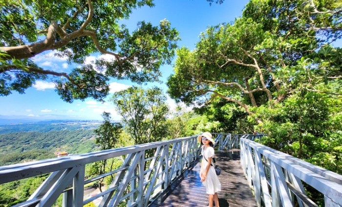 觀音山步道：挑戰路線、親子步道全攻略，交通景點資訊懶人包