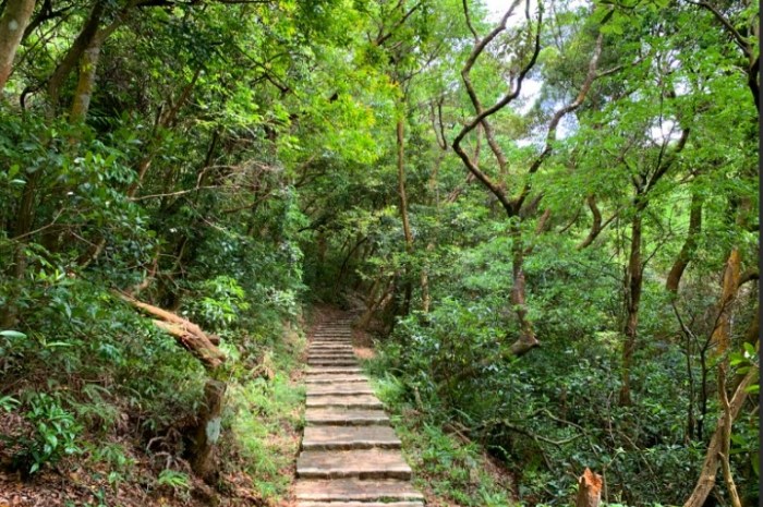 仁和步道：交通停車、路線規劃、景點推薦與注意事項全攻略