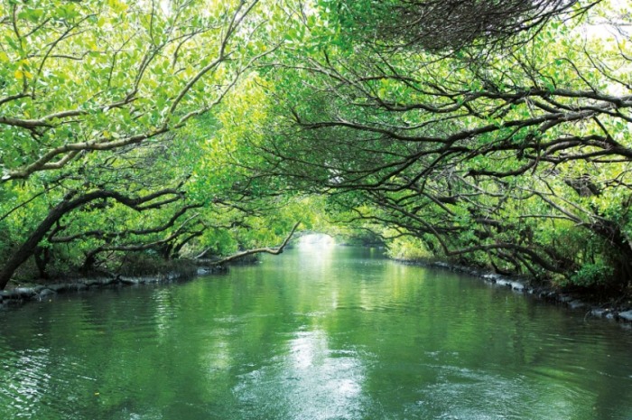 四葉草休閒遊樂區：終極攻略門票交通設施路線推薦