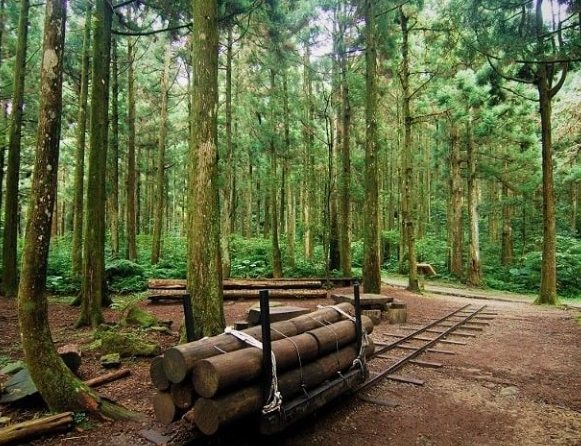 十二號山：完整旅遊攻略，門票、交通、景點、美食、住宿詳解