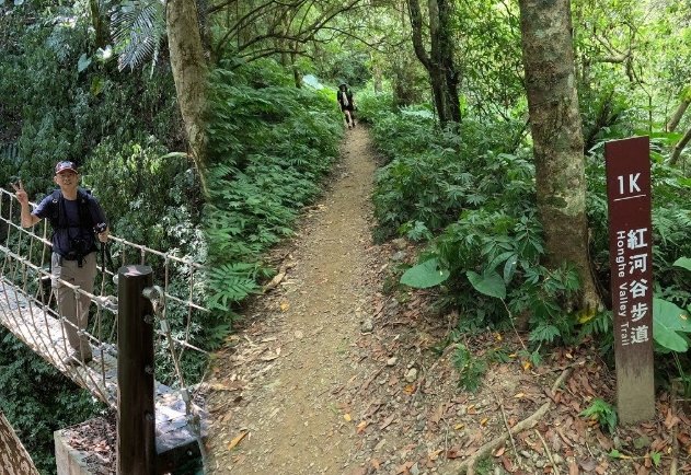 紅河谷步道：烏來步道全攻略，交通停車、路線解析與周邊景點懶人包