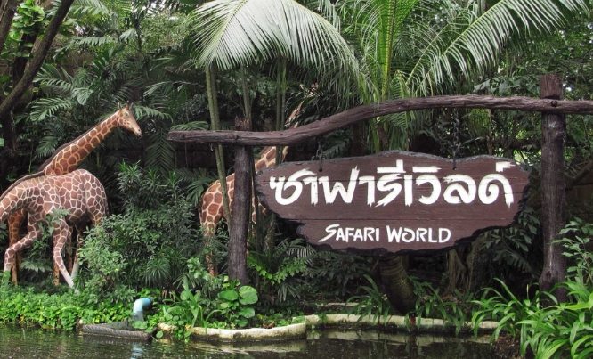 賽佛瑞野生動物園：門票優惠、交通攻略、住宿推薦完整指南