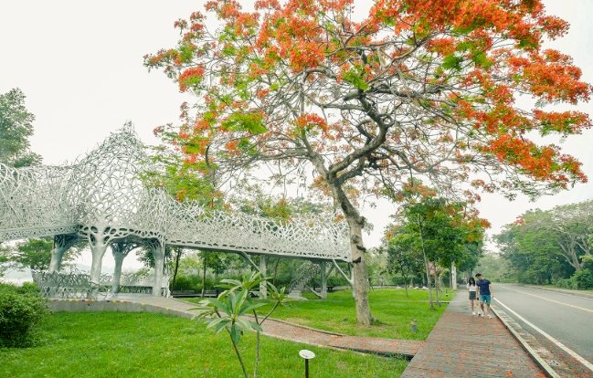 蘭潭風景區：交通最聰明、私房景點、行程規劃、住宿選擇與注意事項全攻略