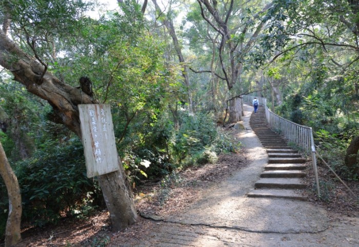 田中森林公園登山步道：綠蔭隧道、平原眺望與環線挑戰全攻略
